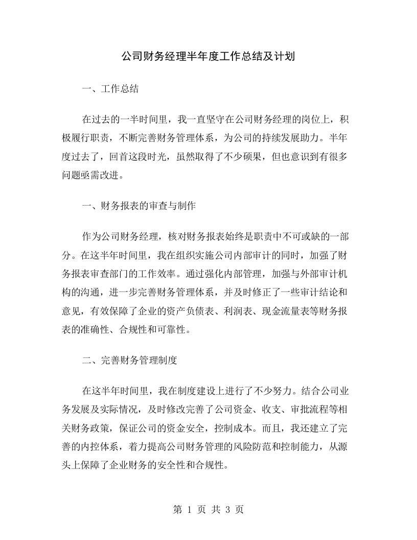 公司财务经理半年度工作总结及计划