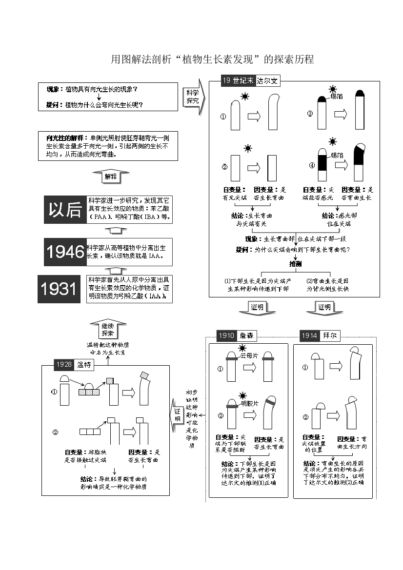 用图解法剖析植物生长素发现的探索历程