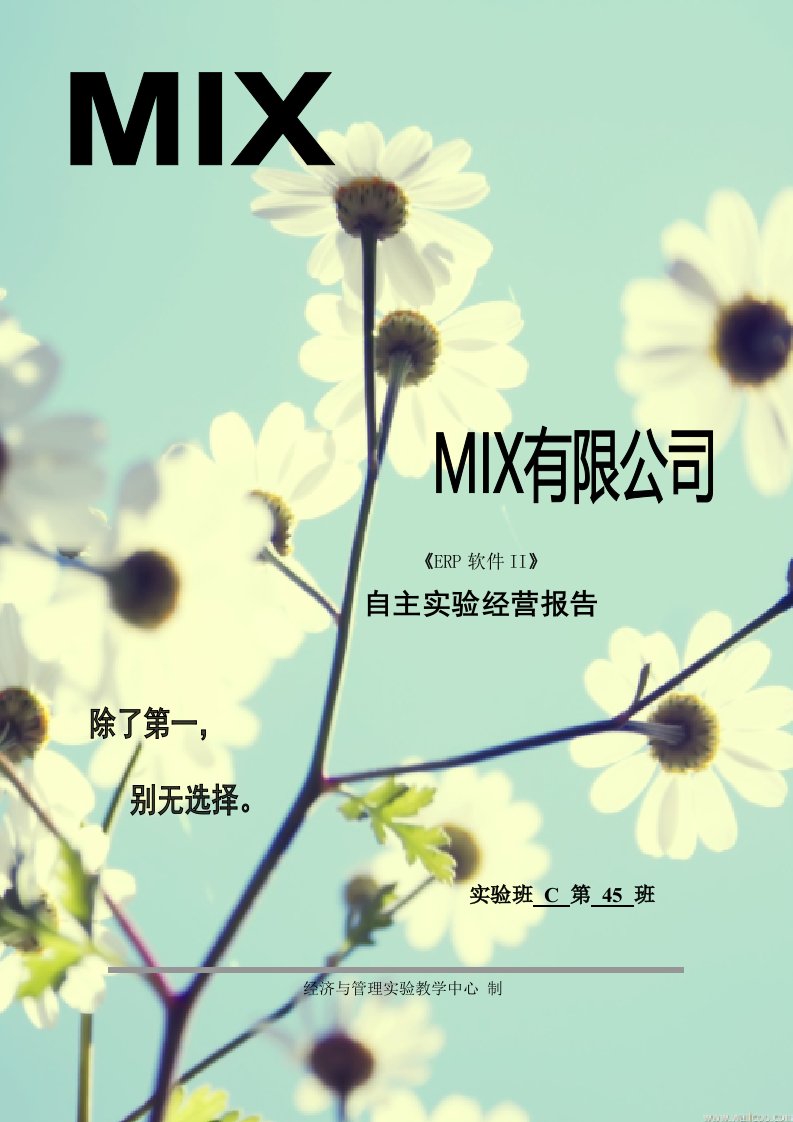 酒类资料-MIX公司企业经营报告