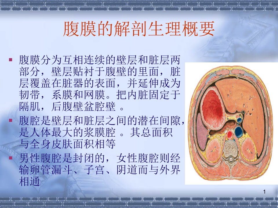 急性腹膜炎专科医学生用