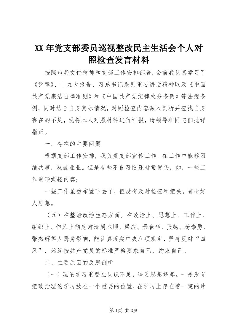 4某年党支部委员巡视整改民主生活会个人对照检查讲话材料