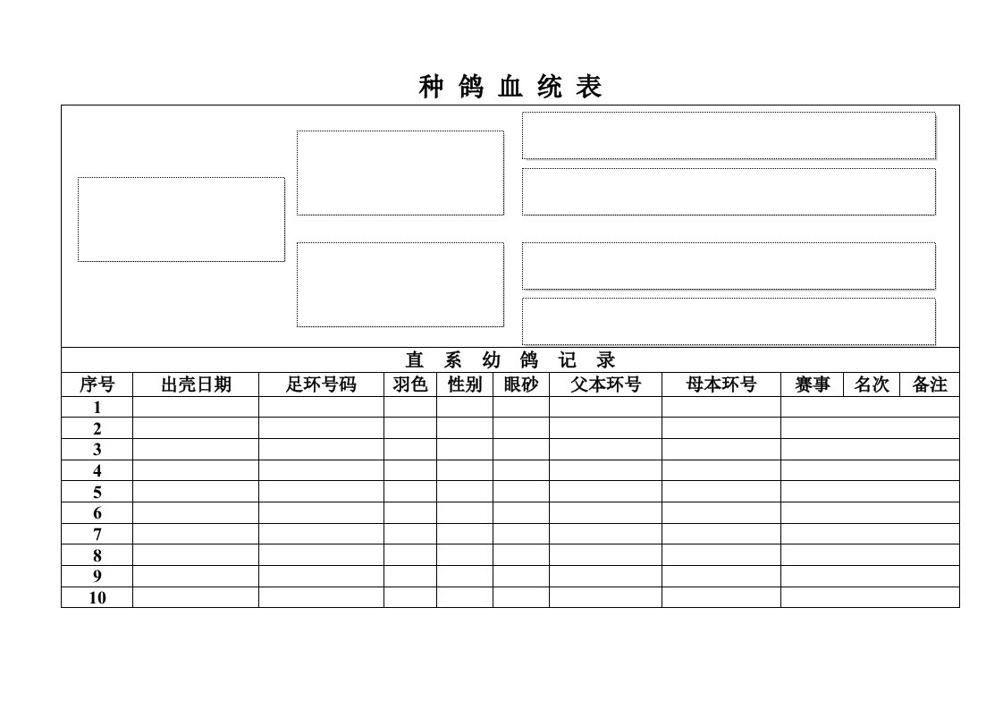 赛鸽信鸽血统表