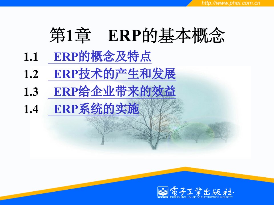 第1章企业资源计划(ERP)