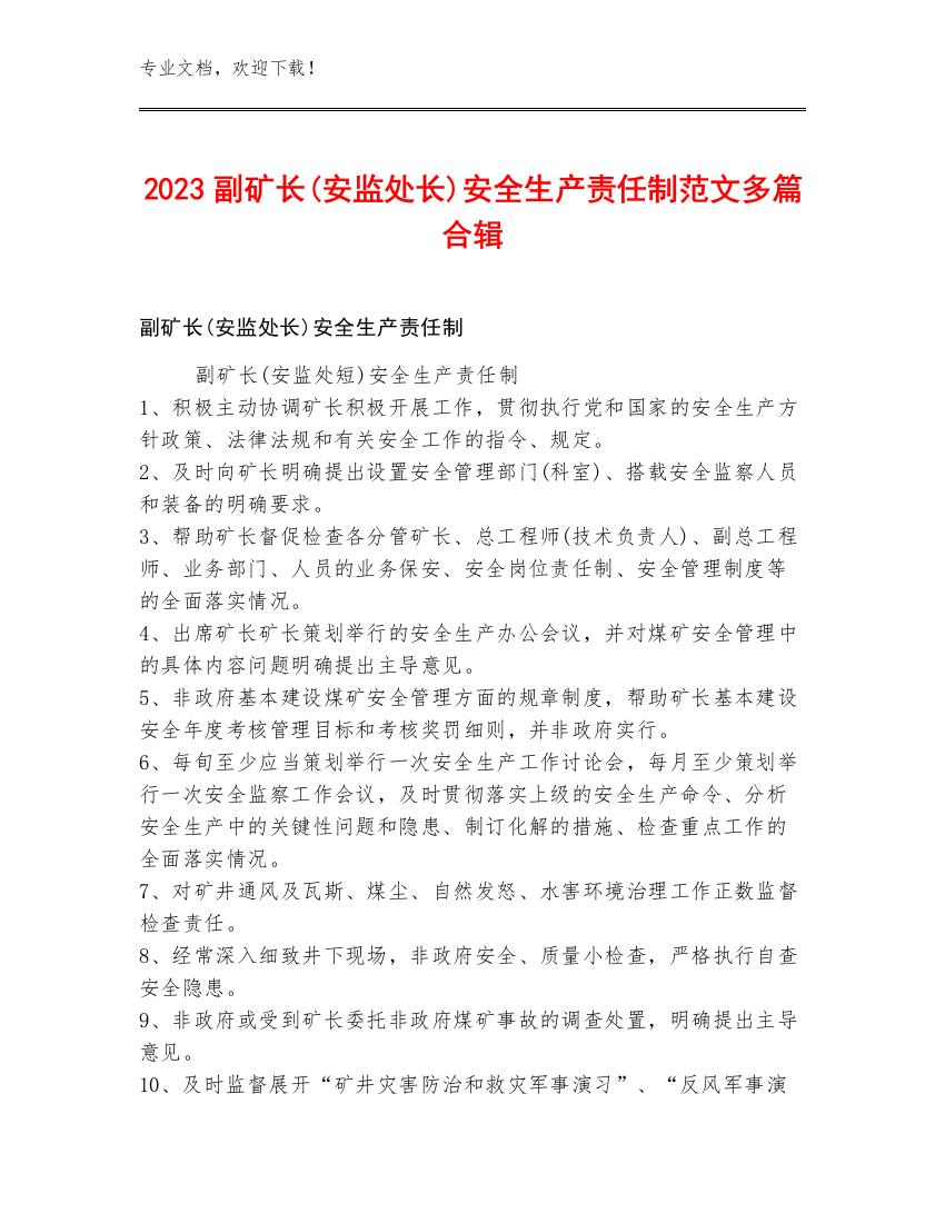 2023副矿长(安监处长)安全生产责任制范文多篇合辑