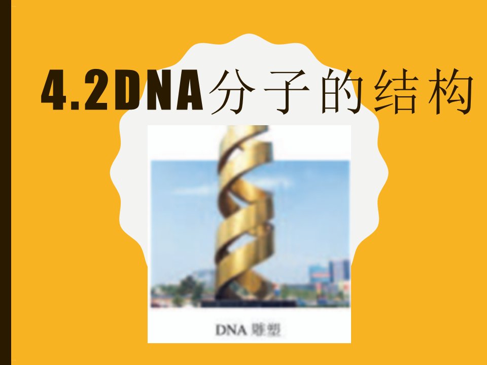 DNA分子的结构教学ppt课件