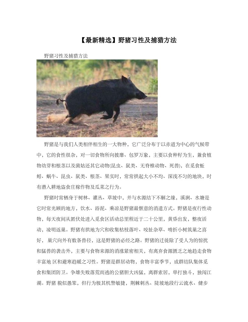 野猪习性及捕猎方法