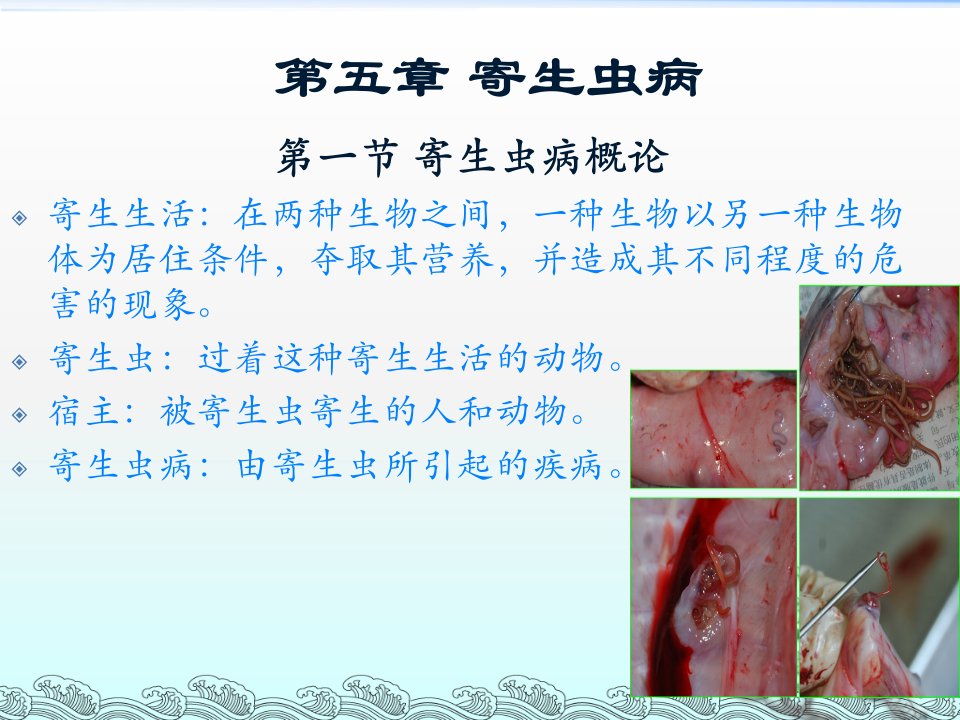 动物医学概论第五章寄生虫病