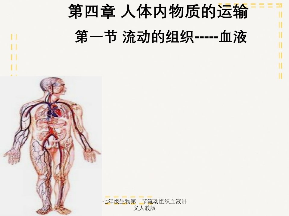 七年级生物第一节流动组织血液讲义人教版