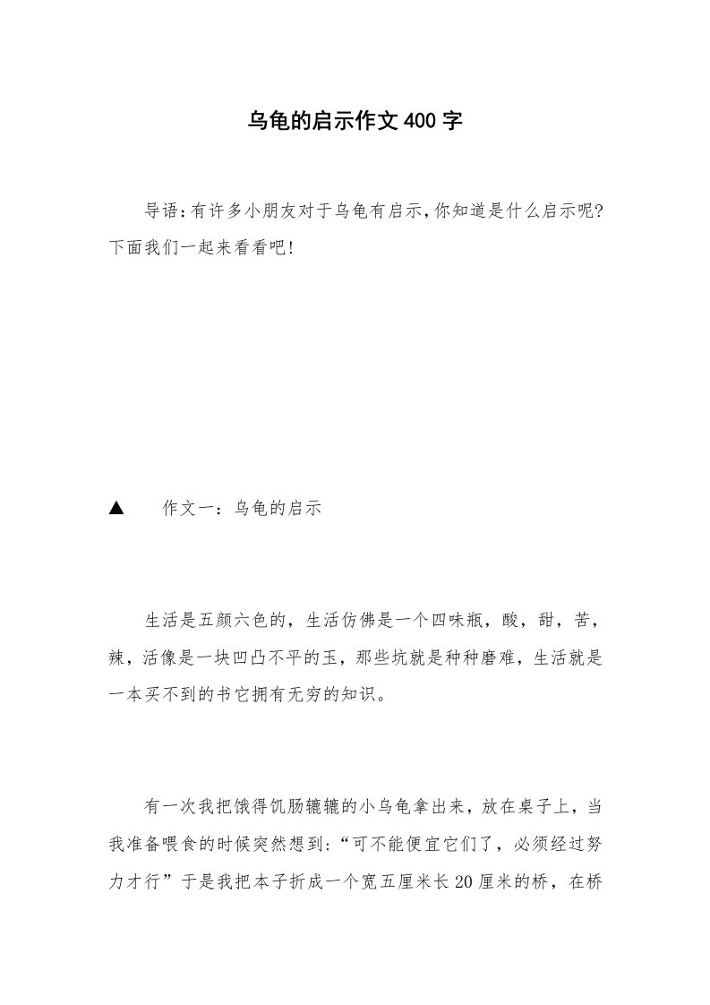 乌龟的启示作文400字