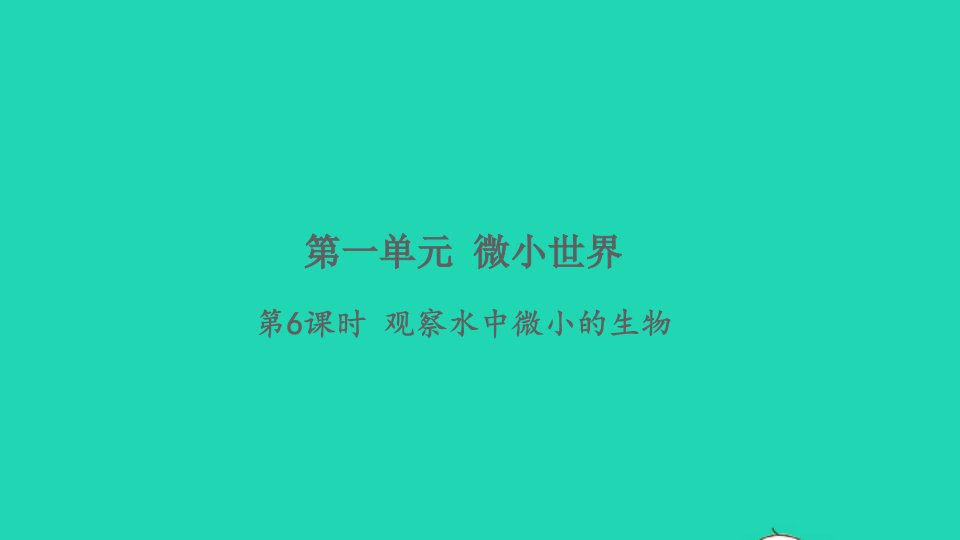 2021秋六年级科学上册第一单元微小世界6观察水中微小的生物习题课件教科版