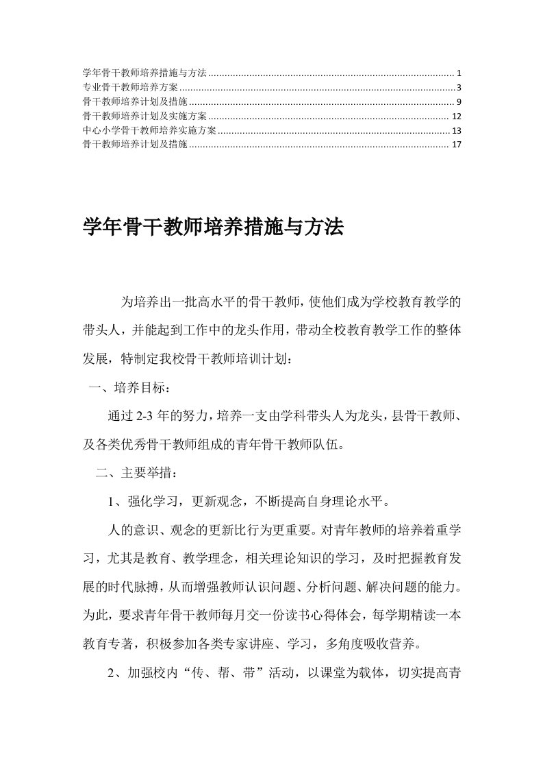 骨干教师培养计划及实施方案4