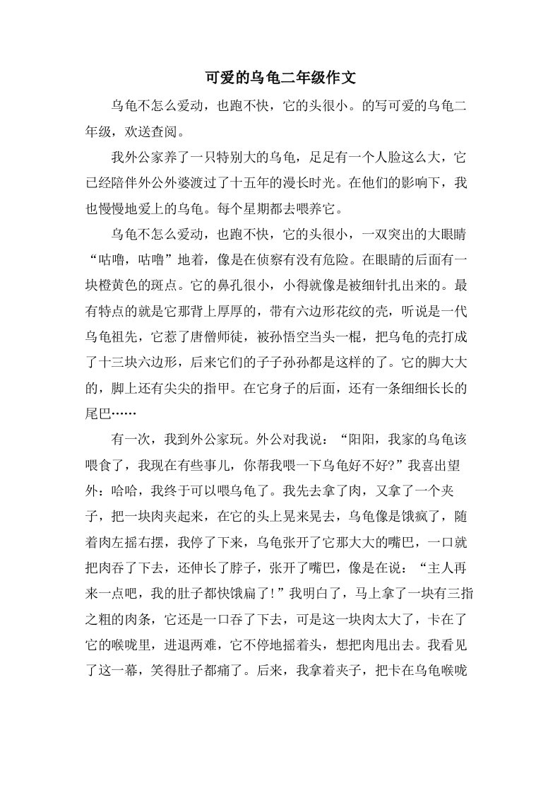 可爱的乌龟二年级作文