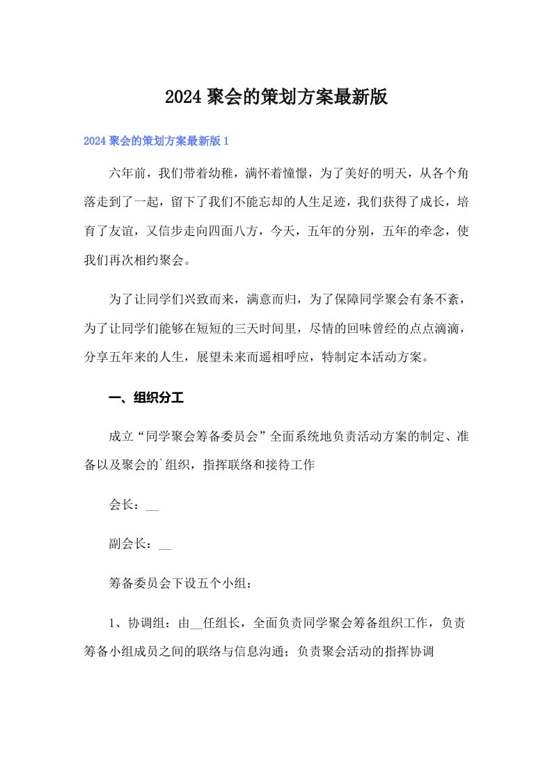 2024聚会的策划方案最新版