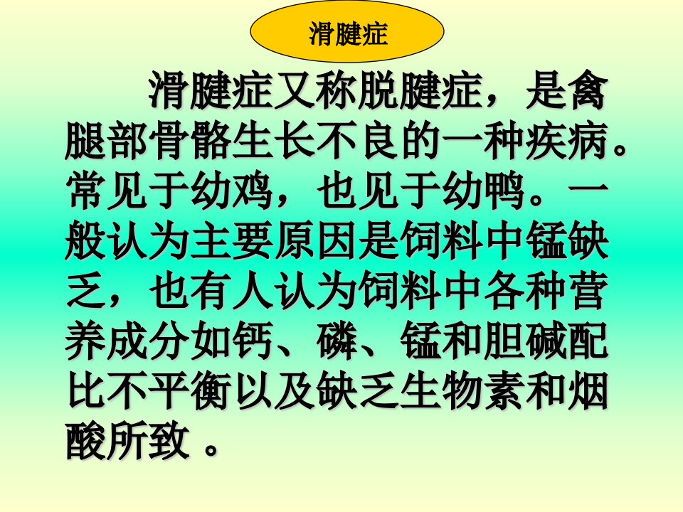 禽病学禽病临床诊断彩色图谱76滑腱症