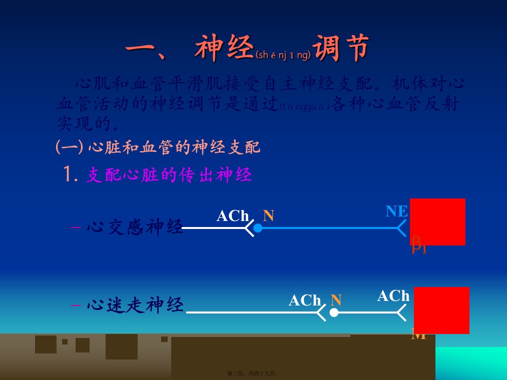 医学专题循环生理心血管活动的调节