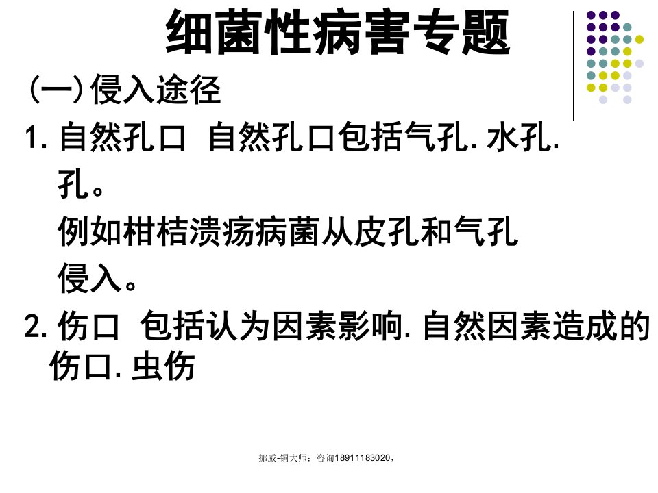 山东瓜菜细菌性病害专题课件