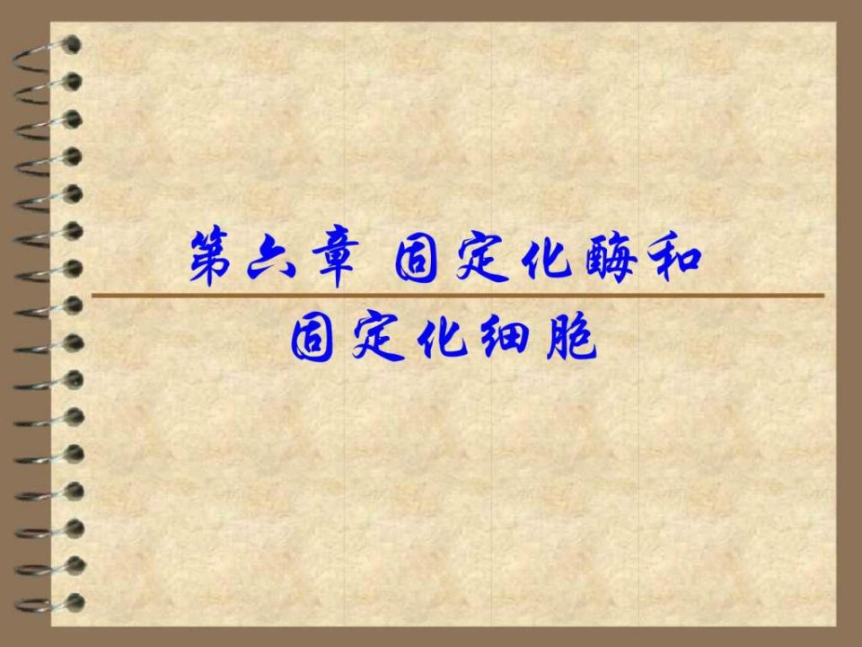 【学习课件】第六章固定化酶和固定化活性细胞