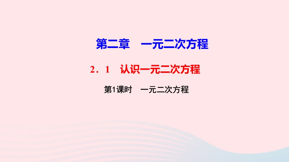 九年级数学上册第二章一元二次方程1认识一元二次方程第1课时一元二次方程作业课件新版北师大版