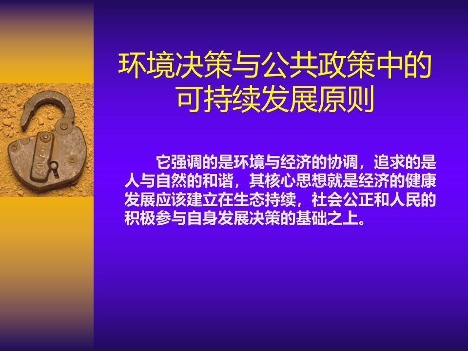 可持续发展战略的实施