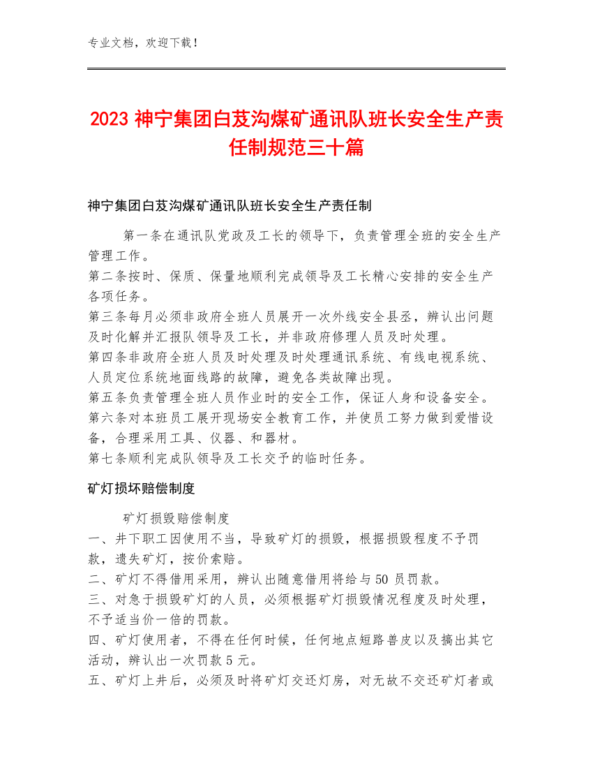 2023神宁集团白芨沟煤矿通讯队班长安全生产责任制规范三十篇