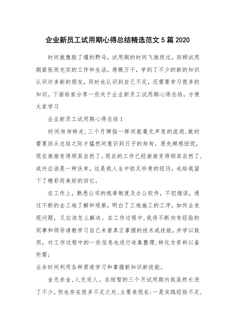 工作心得_企业新员工试用期心得总结精选范文5篇2020