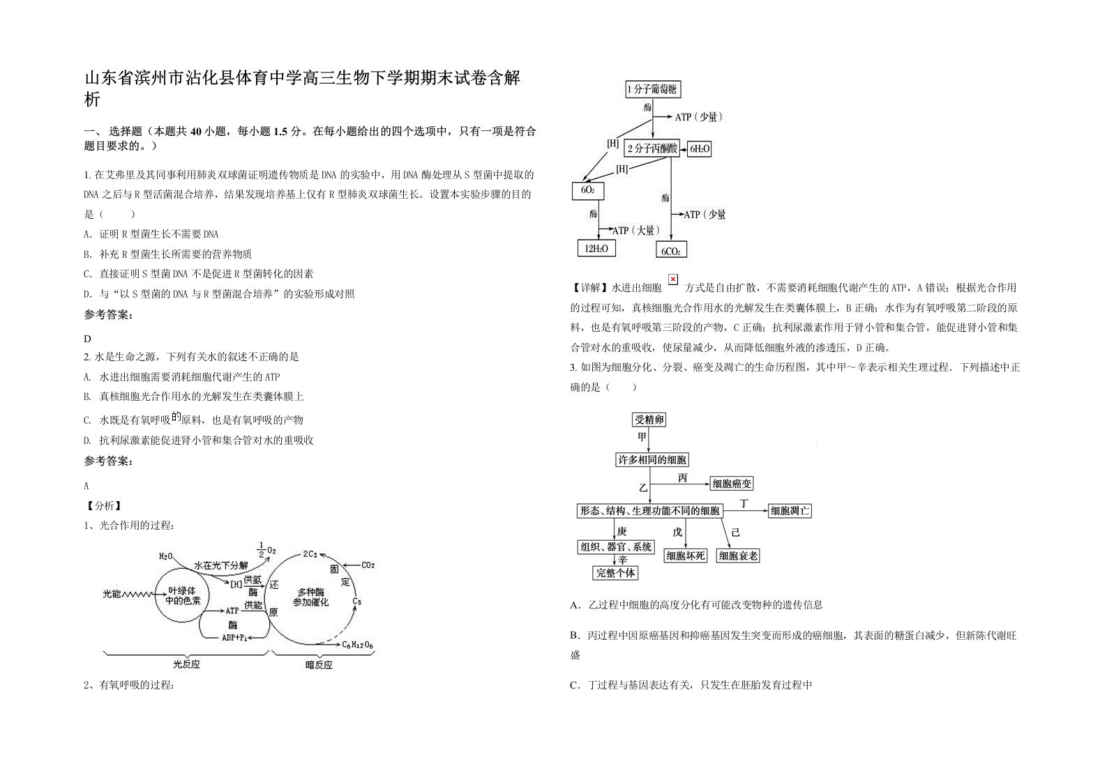 山东省滨州市沾化县体育中学高三生物下学期期末试卷含解析