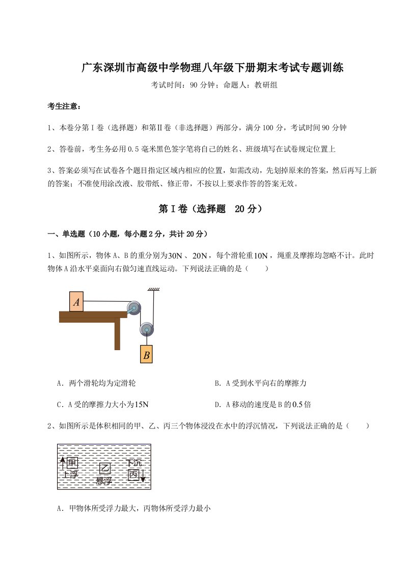 达标测试广东深圳市高级中学物理八年级下册期末考试专题训练试题（含答案解析）