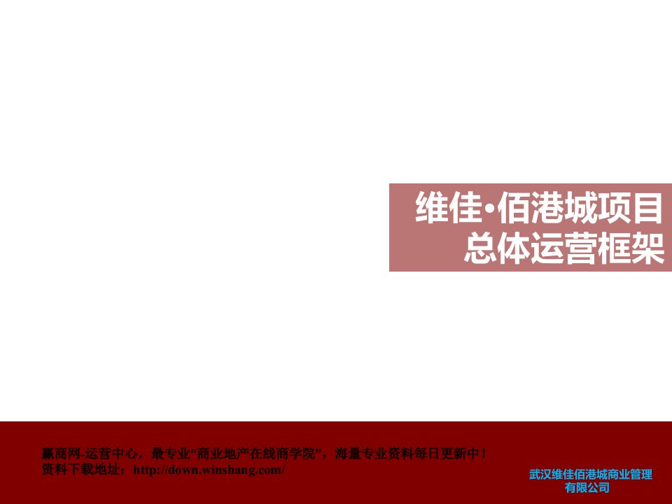 武汉维佳佰港城总体运营框架报告PPT课件