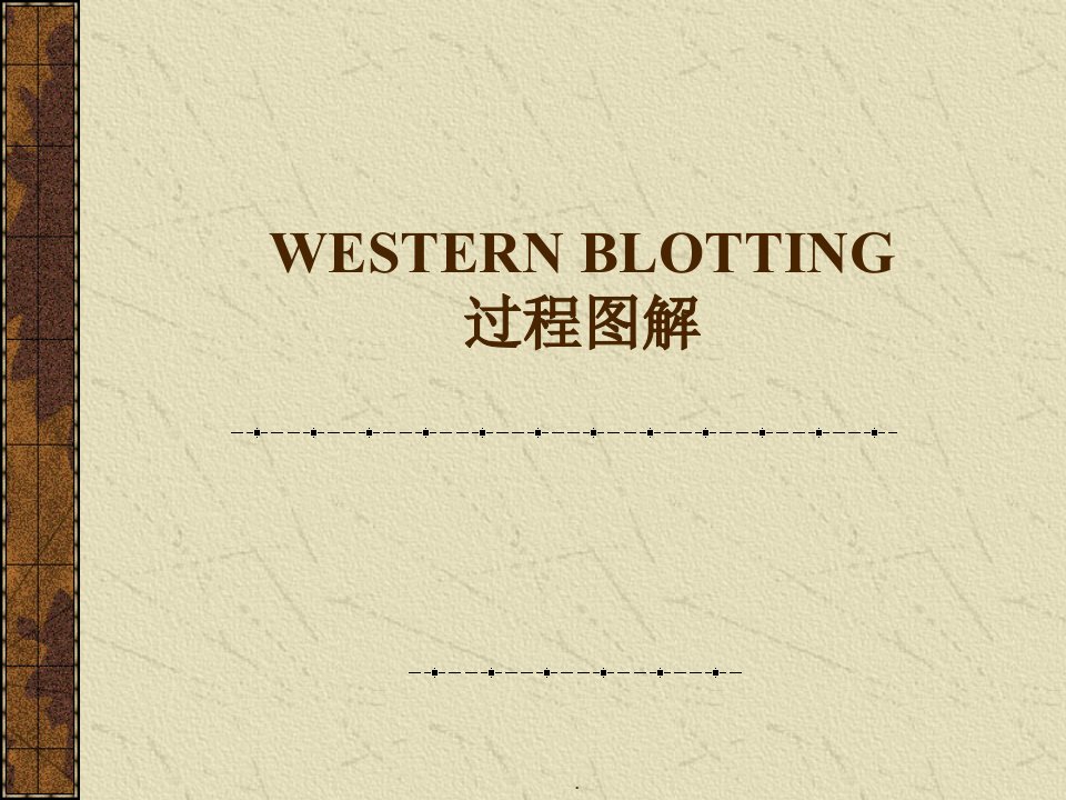 wb步骤详解ppt课件