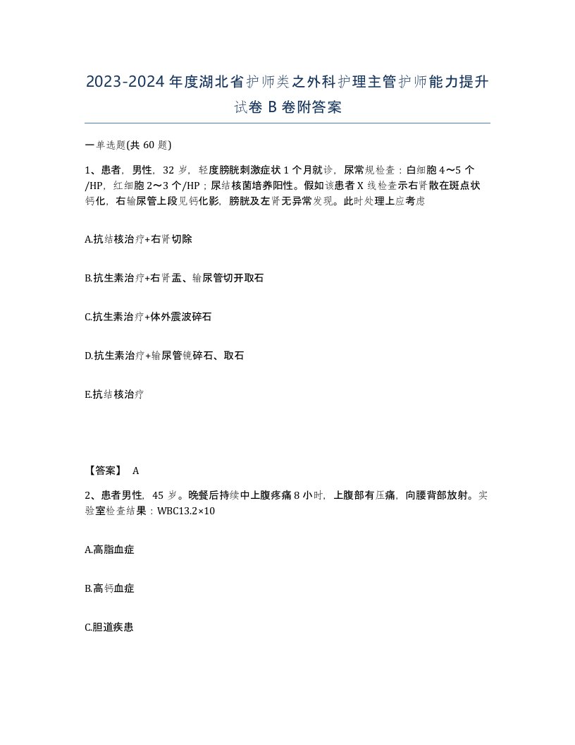 2023-2024年度湖北省护师类之外科护理主管护师能力提升试卷B卷附答案