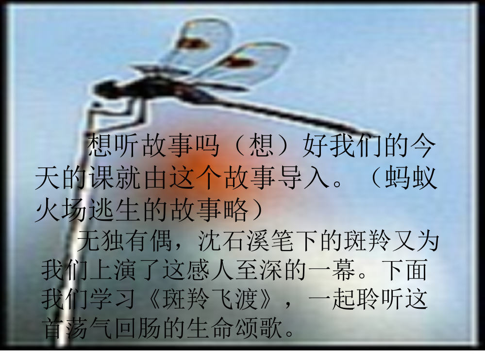 《斑羚飞渡》课件3