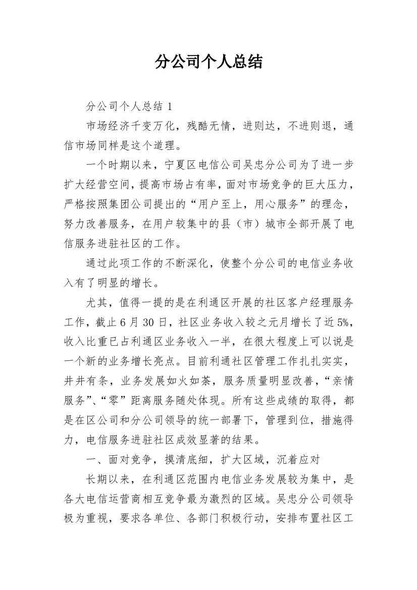 分公司个人总结