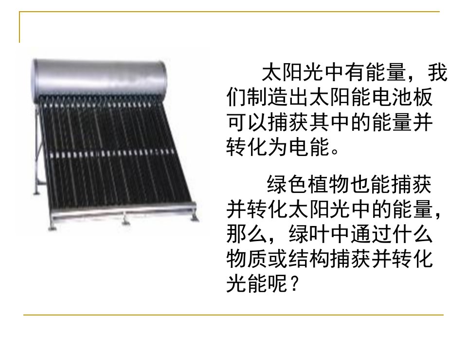 5.4能量之源光与光合作用优质课