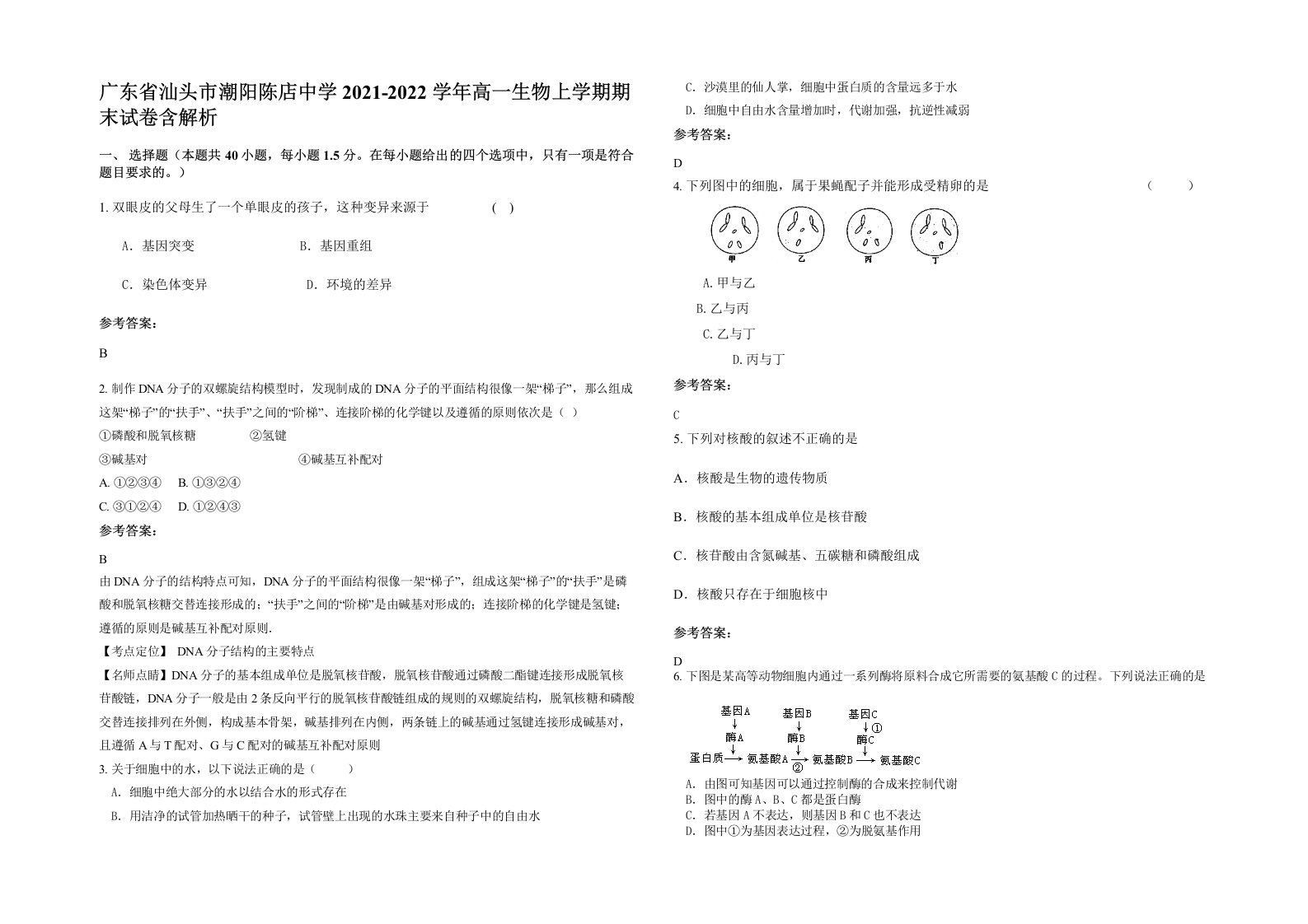 广东省汕头市潮阳陈店中学2021-2022学年高一生物上学期期末试卷含解析