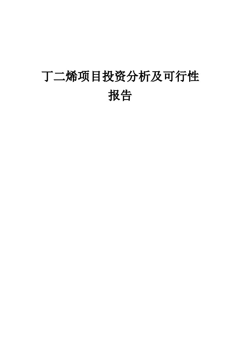 2024年丁二烯项目投资分析及可行性报告