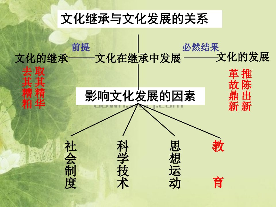 51文化创新的源泉与作用(上课)ppt