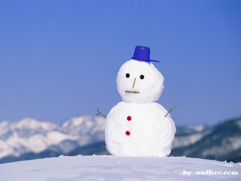 (部编)人教语文一年级上册雪地里的小画家.雪地里的小画家ppt(好)