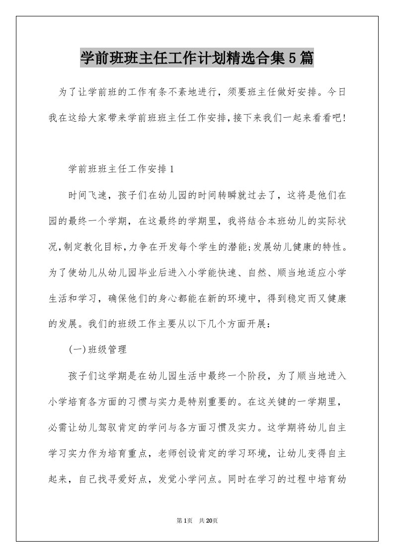 学前班班主任工作计划精选合集5篇