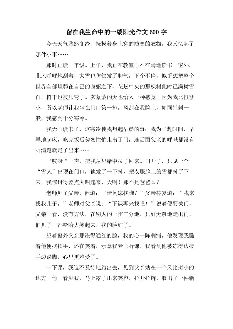 留在我生命中的一缕阳光作文600字