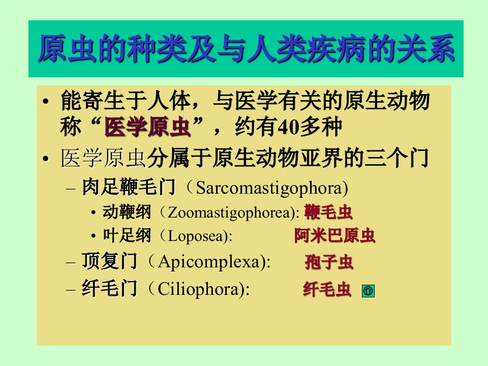 b寄生虫学第十一讲原虫概论