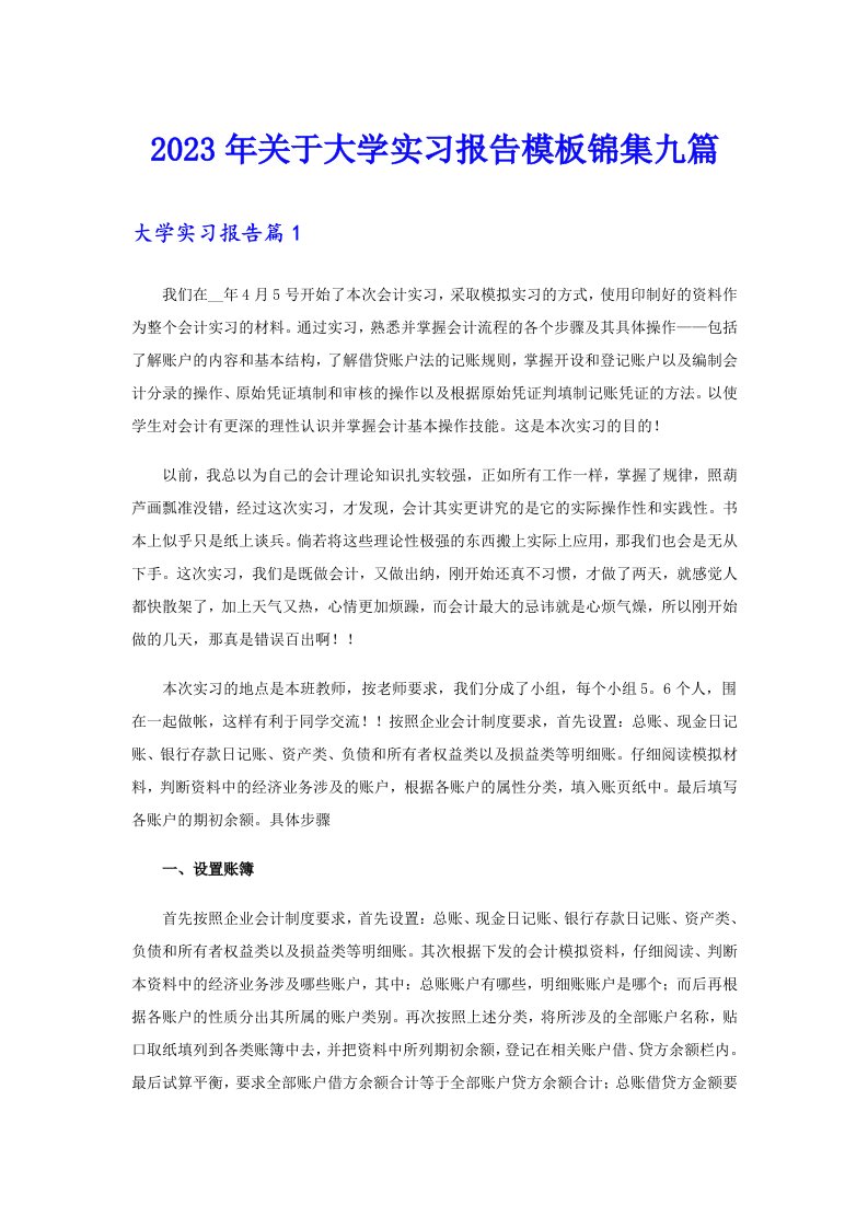 2023年关于大学实习报告模板锦集九篇