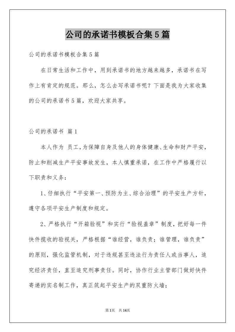 公司的承诺书模板合集5篇