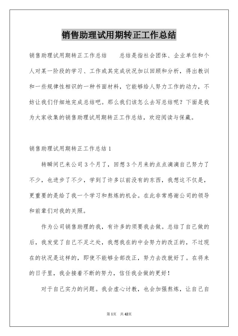 销售助理试用期转正工作总结例文1