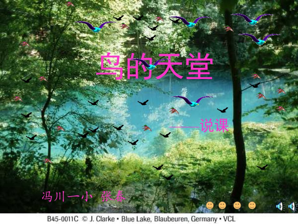 《鸟的天堂》--说课稿课件.ppt