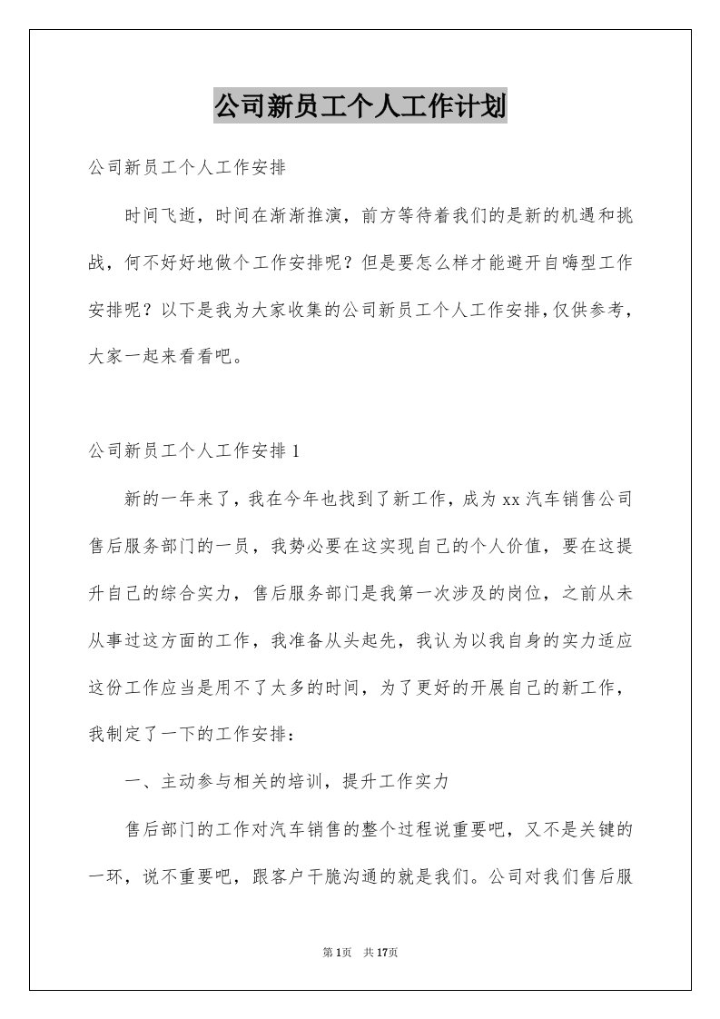 公司新员工个人工作计划汇编