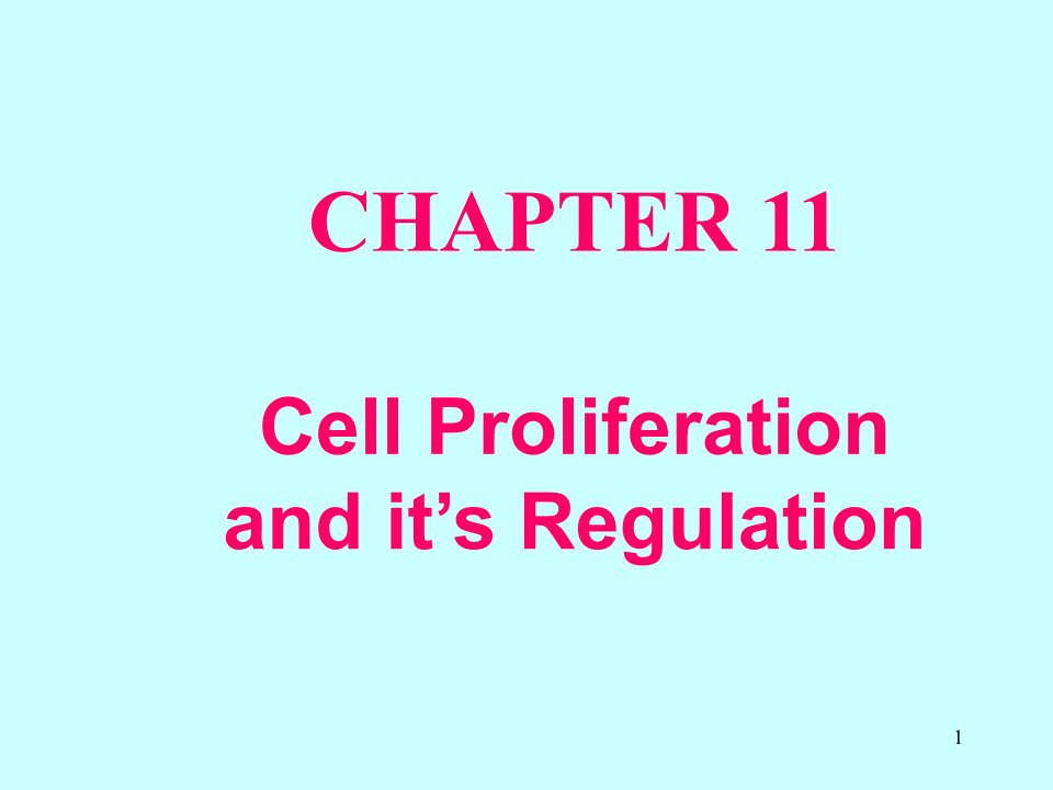 细胞生物学第11章1细胞增殖及其调控