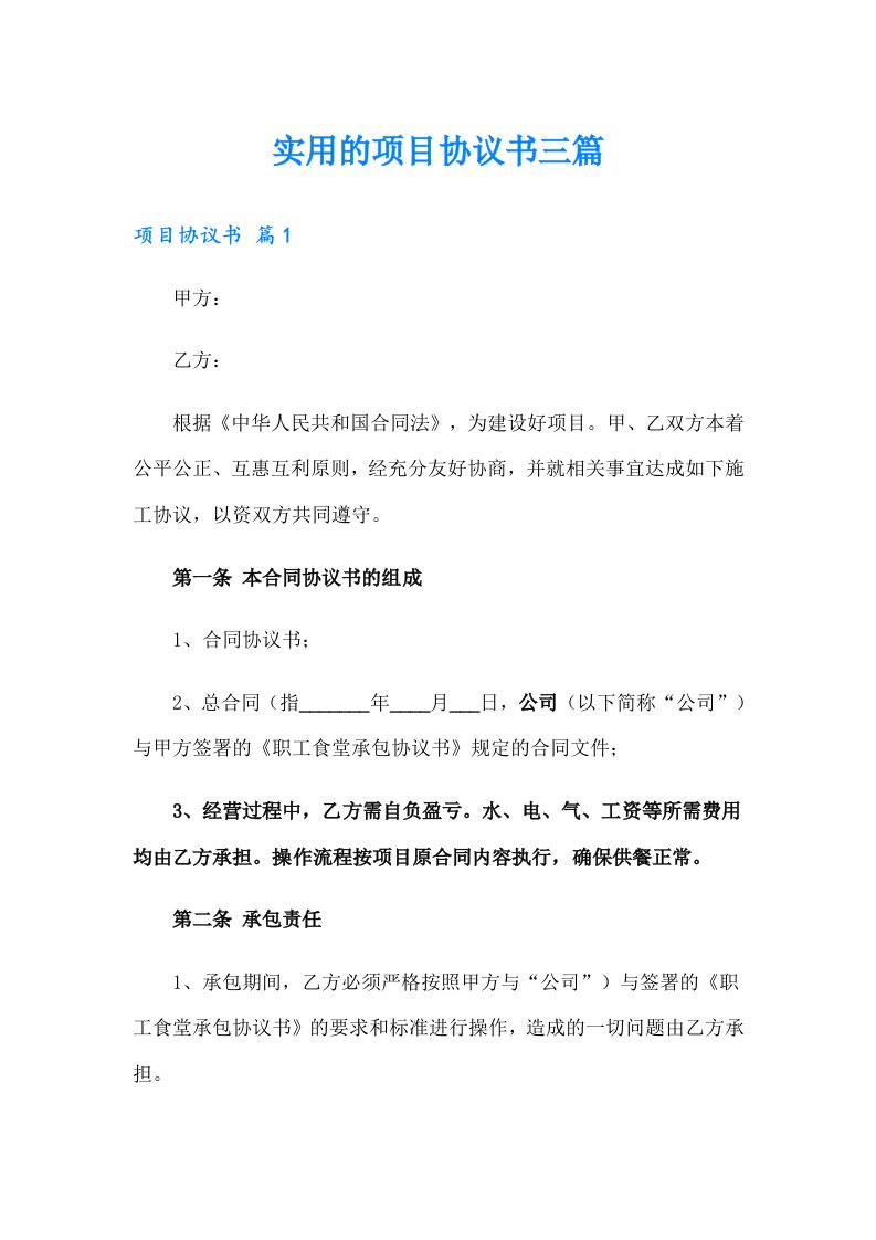 （精选）实用的项目协议书三篇