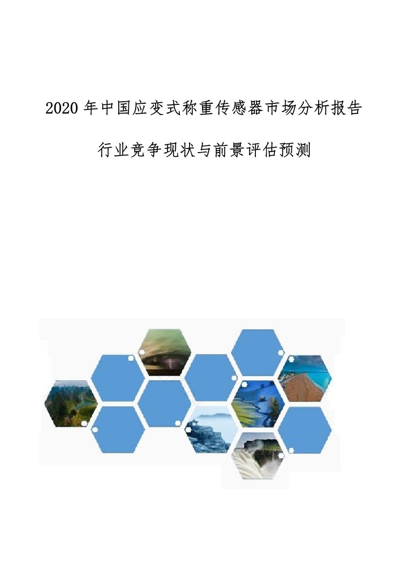 中国应变式称重传感器市场分析报告-行业竞争现状与前景评估预测