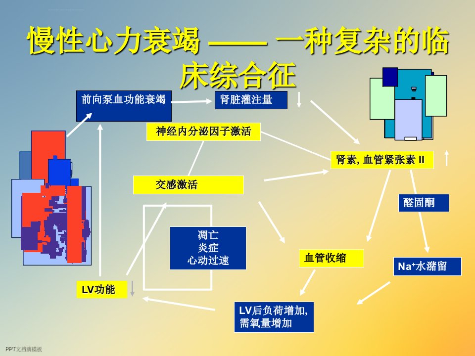 心力衰竭预防策略ppt课件