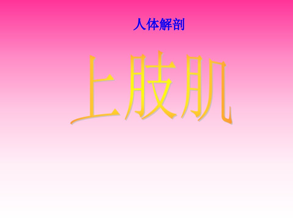 人体解剖-骨骼肌-上肢肌